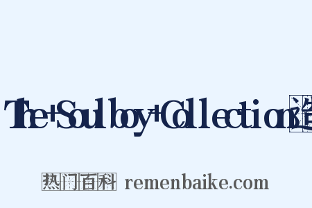 The+Soulboy+Collection造句是什么意思的图片